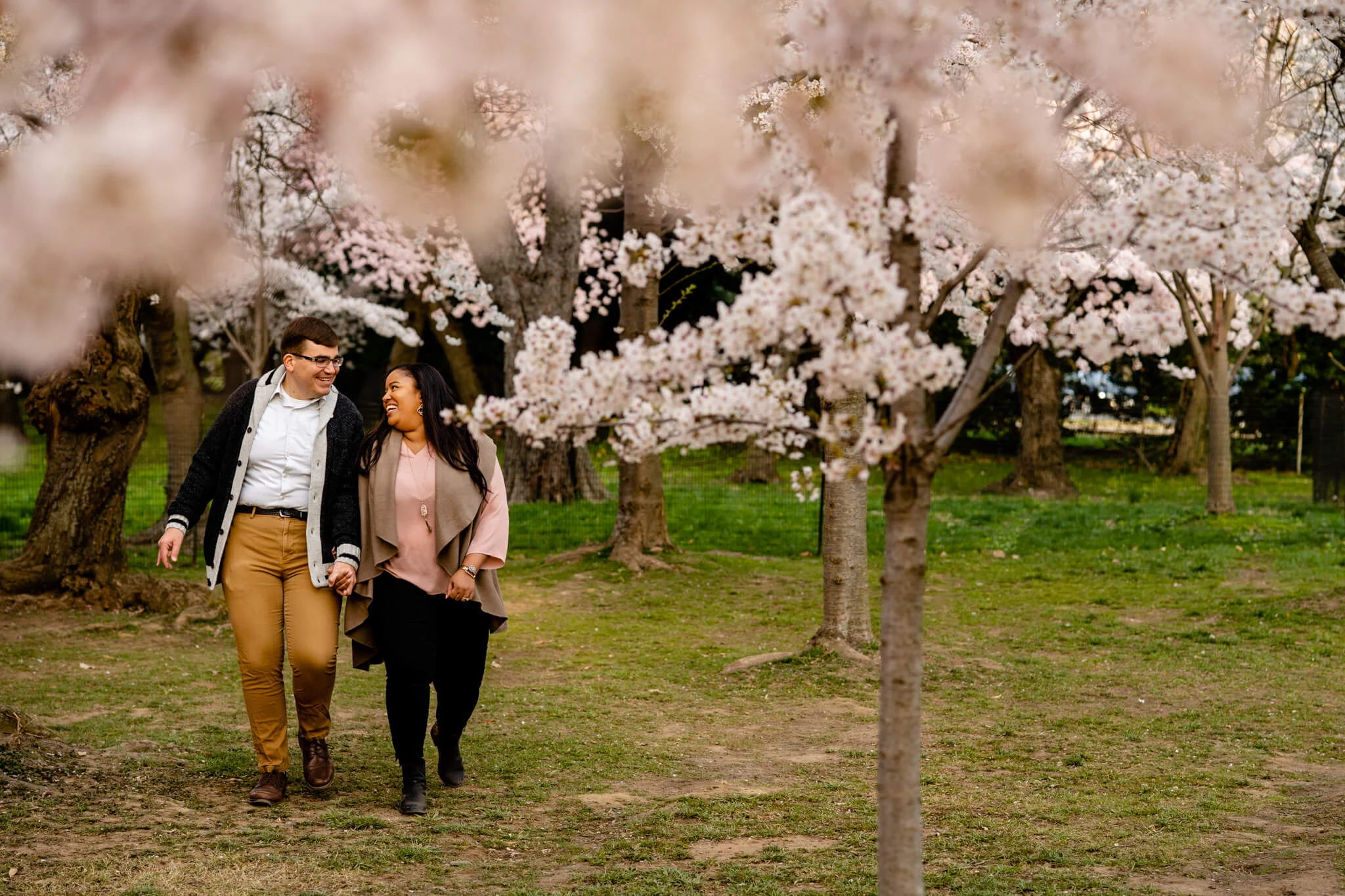 Liz & Joe // Tidal Basin Cherry Blossoms // Washington DC — Bee